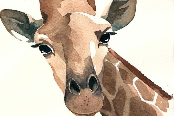 Тату ескізи жирафа