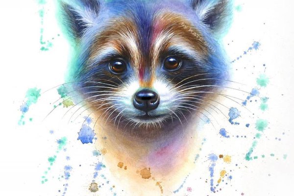 Тату ескізи єнот