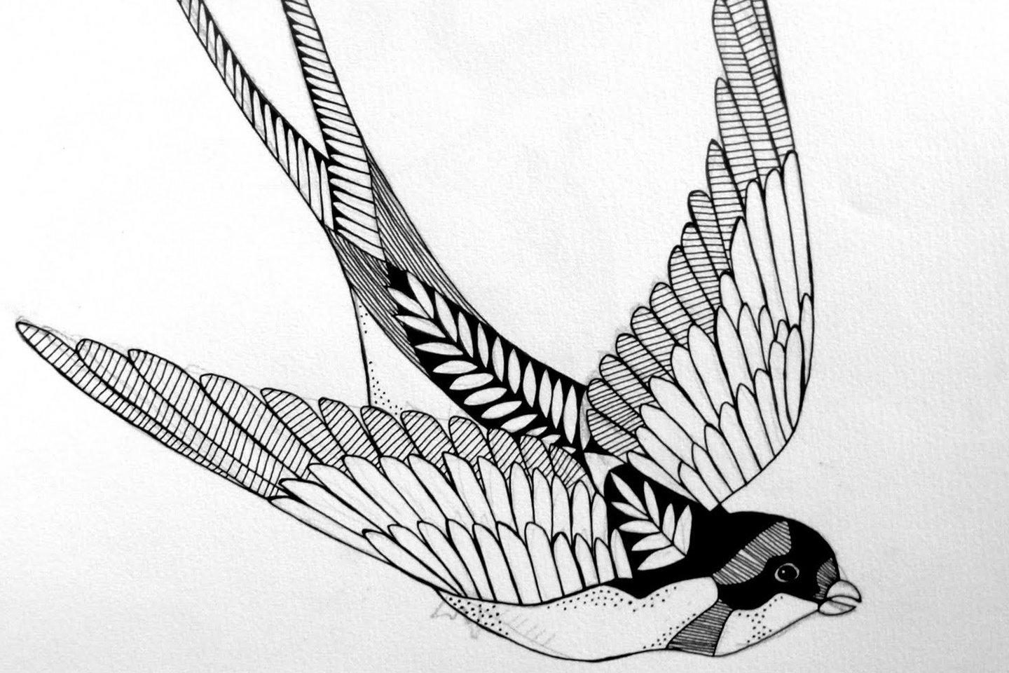 Тату ескізи ластівка