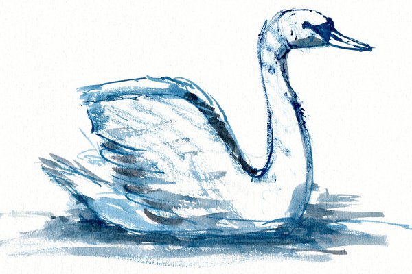 Тату-ескіз лебідь