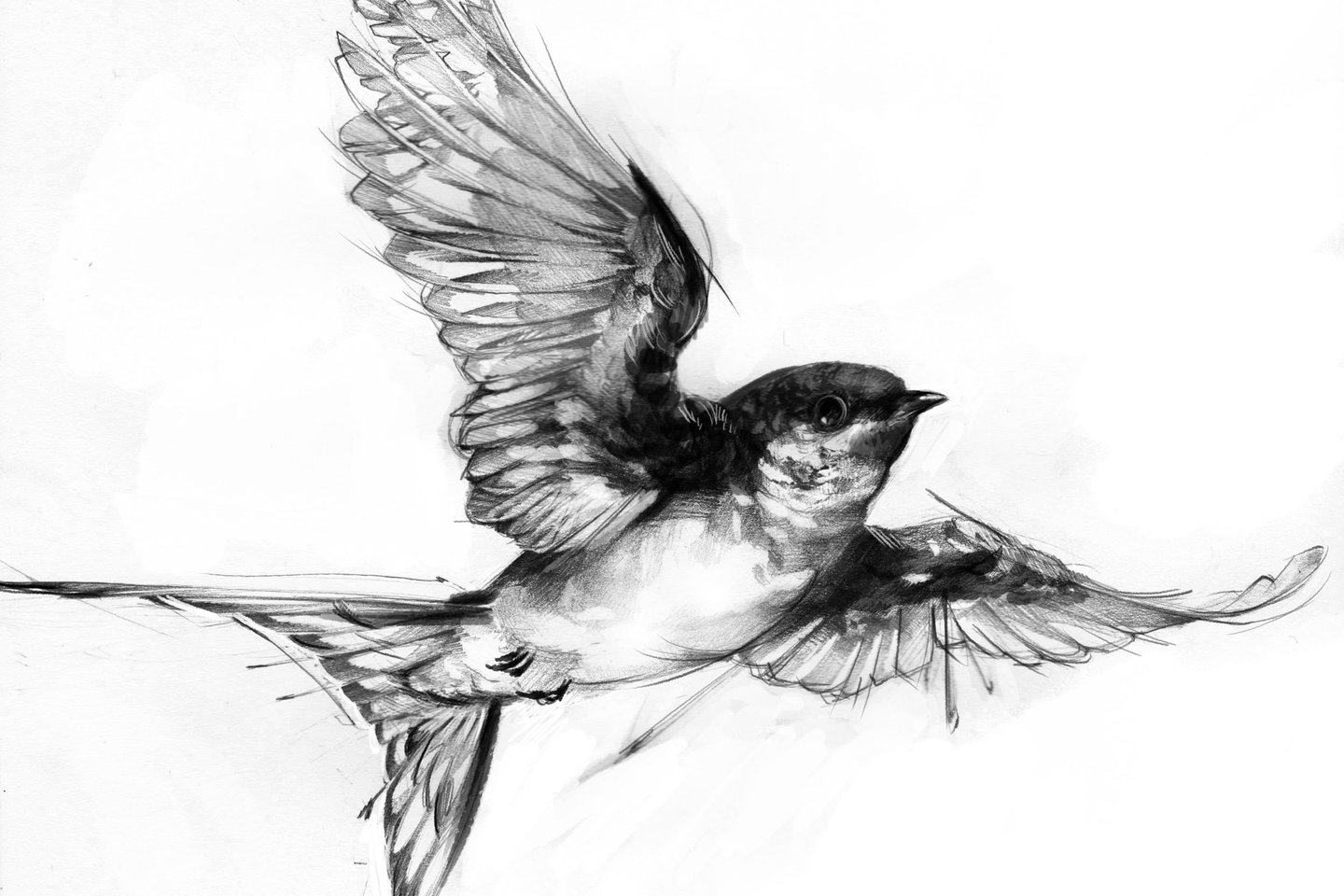 Тату ескізи ластівка