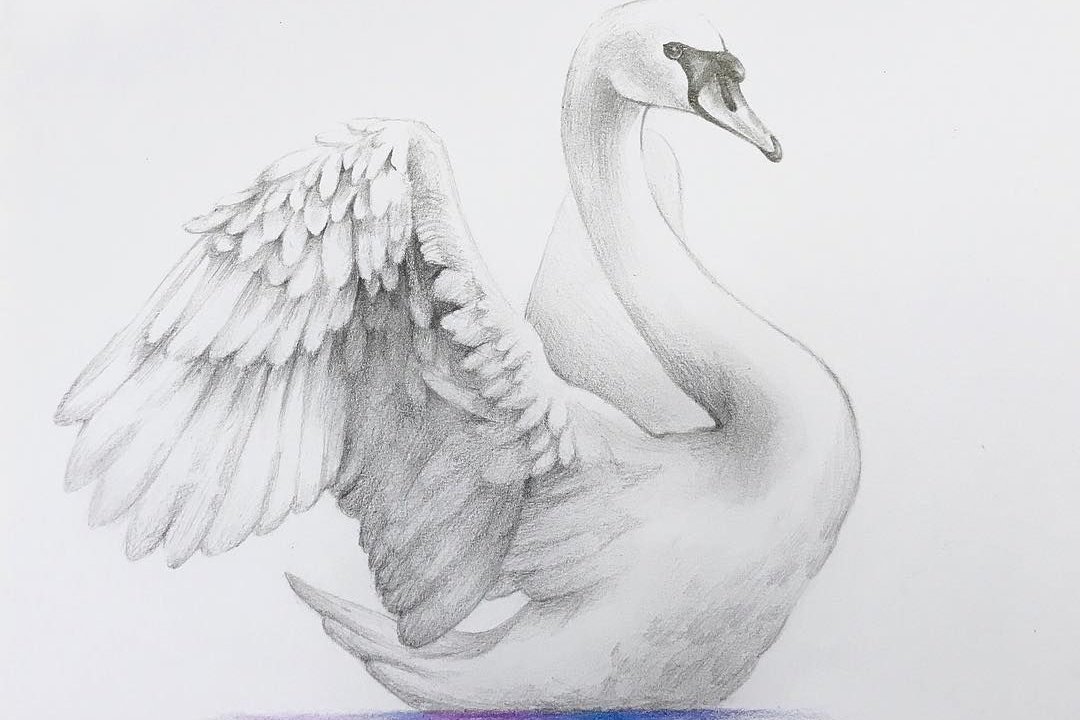 Тату-эскиз лебедь