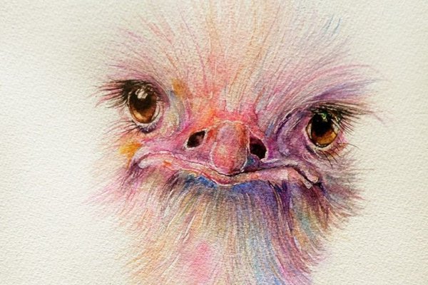 Тату - ескізи "Страус"