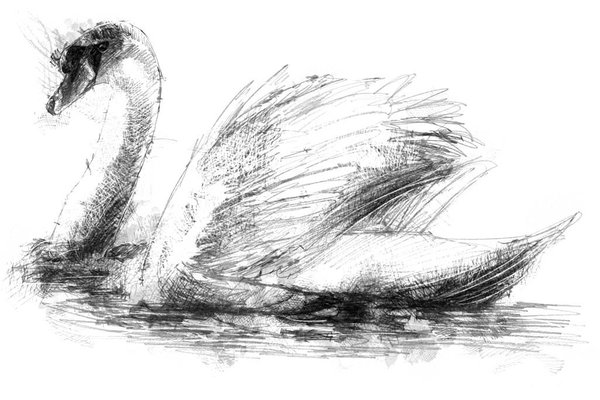 Тату-ескіз лебідь