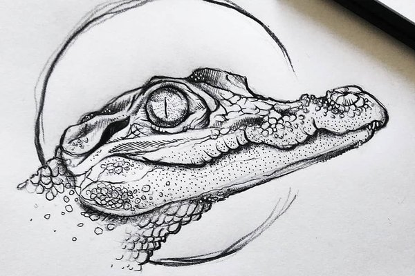 Тату-ескіз крокодил