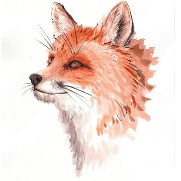 тату лиса значение