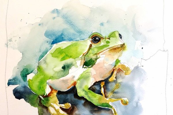 Тату эскизы жабы и лягушки