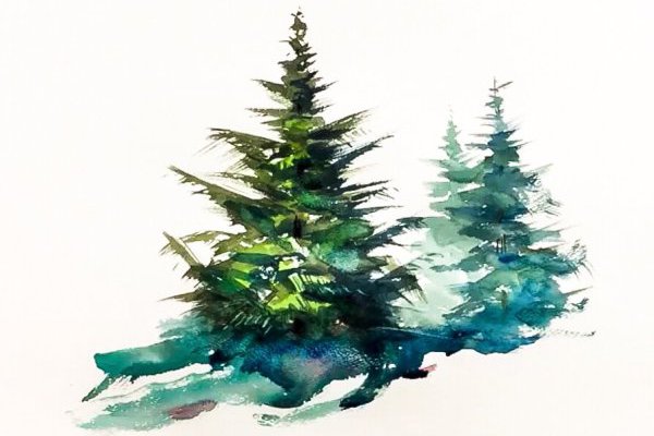 Тату эскизы ель