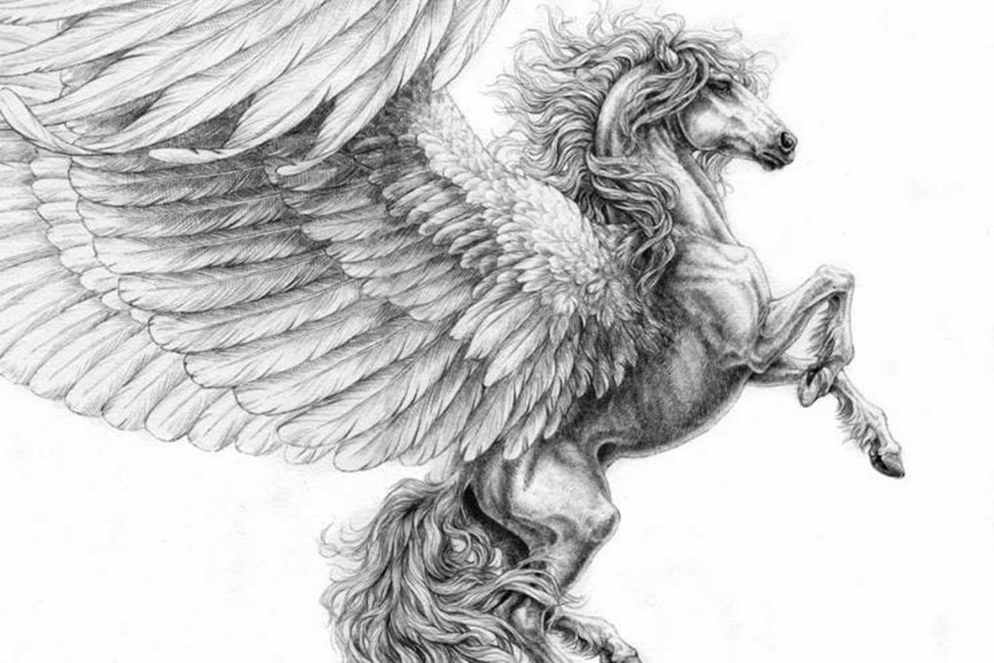 тату пегаса на плече