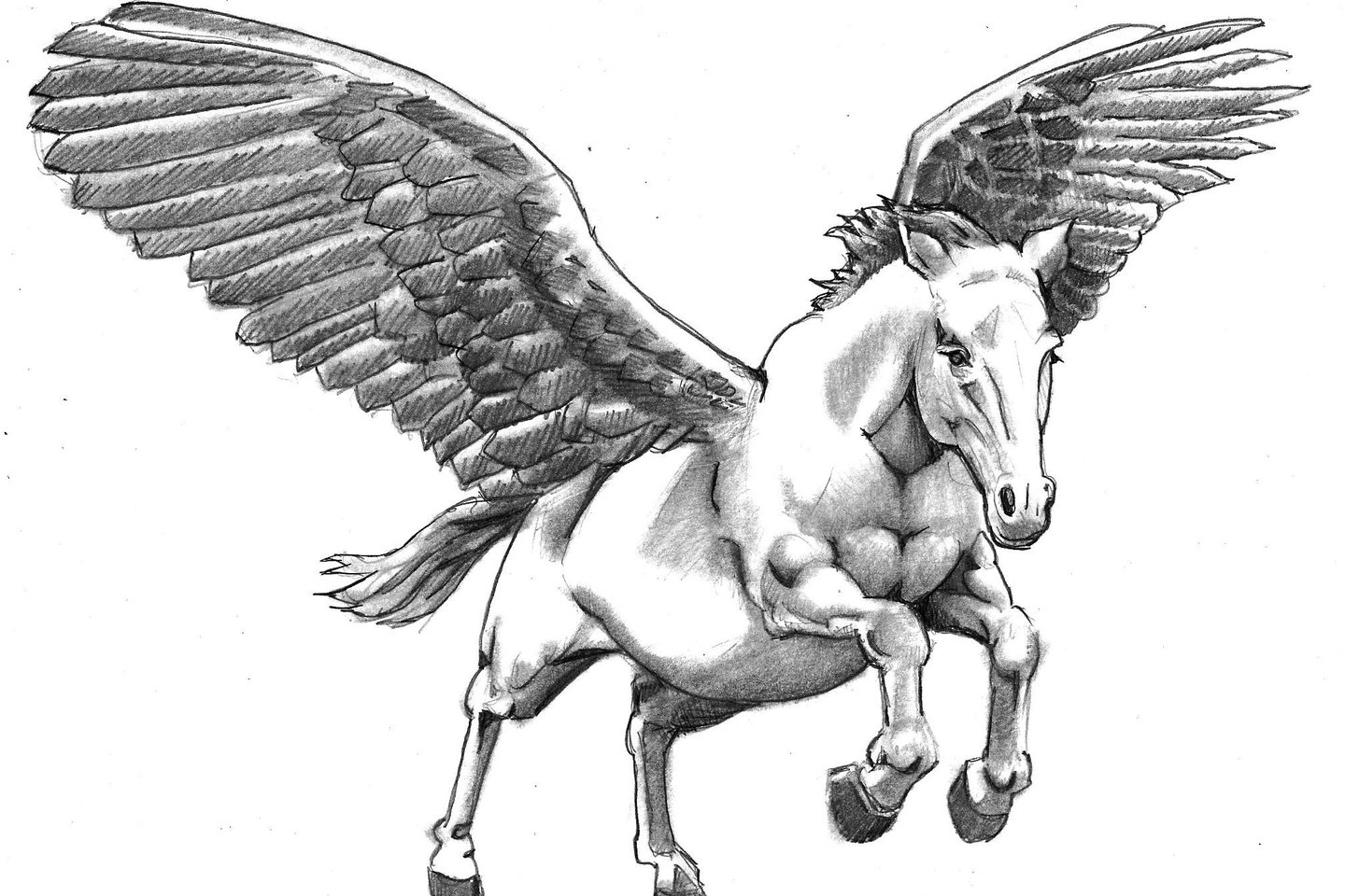 Тату эскизы Пегаса