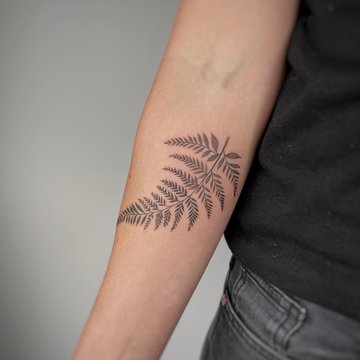 Тату папоротник