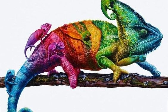 Тату-ескізи "Хамелеон"