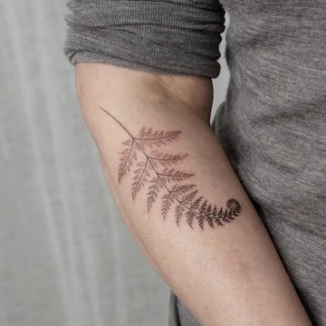 Тату папоротник