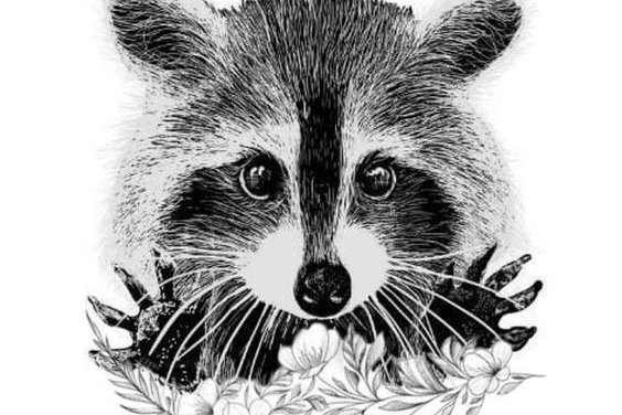 Тату эскизы енот
