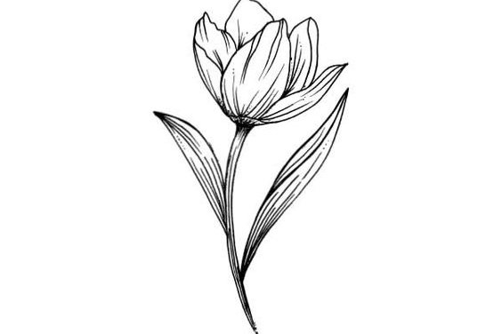 Тату эскизы тюльпан
