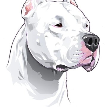 Тату эскизы питбуль