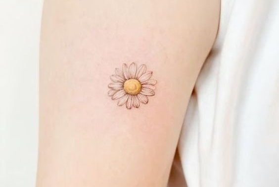 татуировка Маргаритки