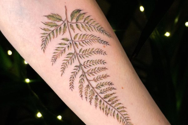 Тату папороть