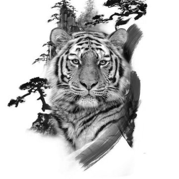 Тату ескізи «Тигр»