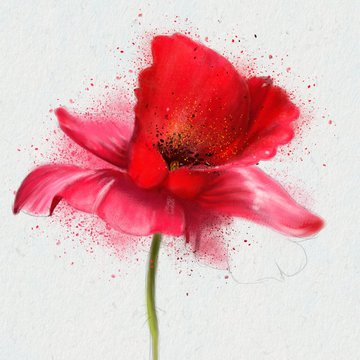 Тату эскизы мак