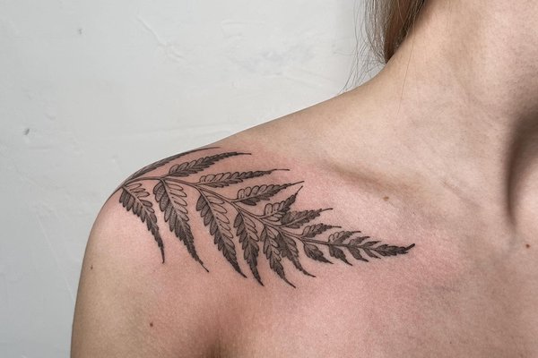 Тату папороть