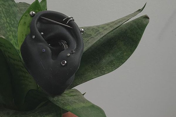 Навчання пірсингу у Бердянську