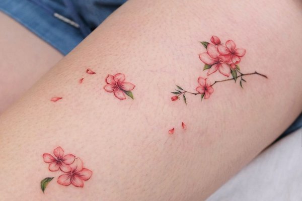 ветка сакуры татуировка