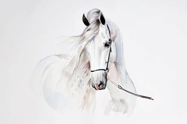 Тату ескізи коня