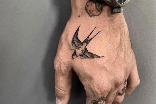 Тату эскизы ласточка
