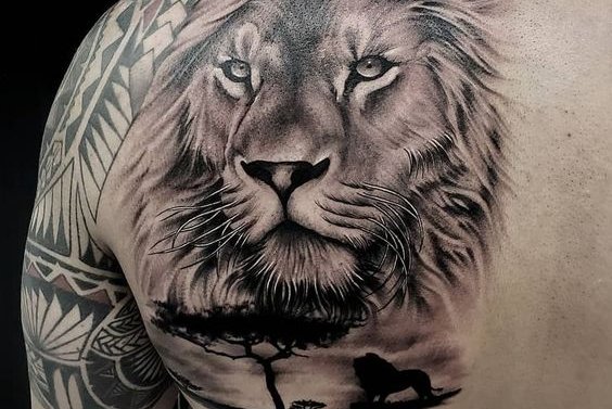 созвездие Льва