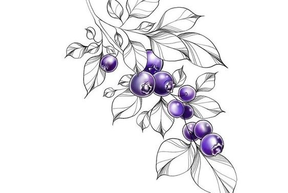 Тату-эскизы "ягоды"