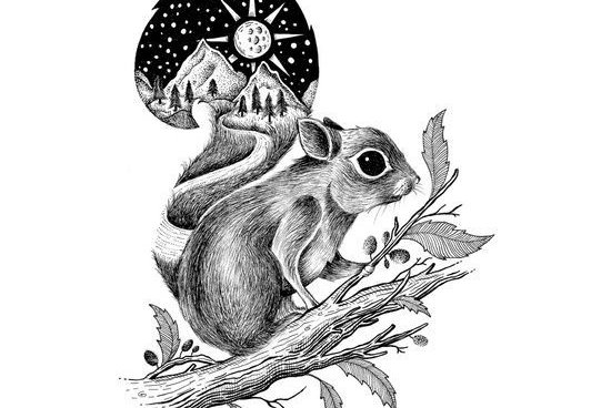 Тату-ескіз білка