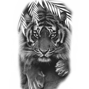 Тату ескізи «Тигр»
