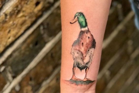 Тату - ескізи "Качка"