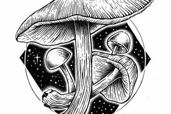 Тату-ескіз гриб