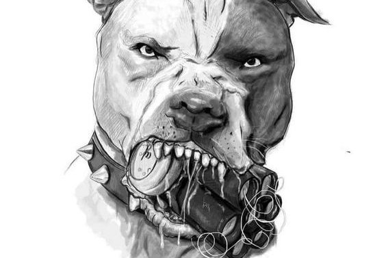Тату эскизы питбуль