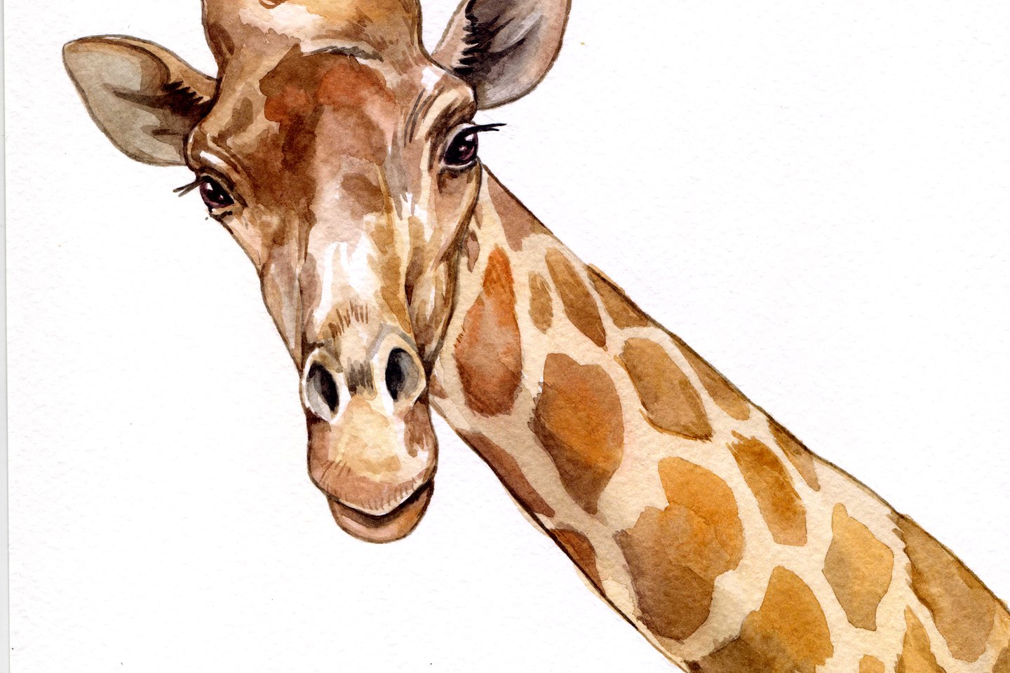 Тату эскизы жираф