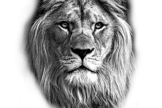 Тату эскизы лев