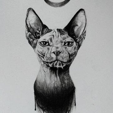 Тату - ескізи "Сфінкс"