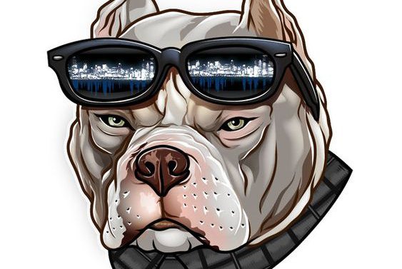 Тату-ескізи "Пітбуль"