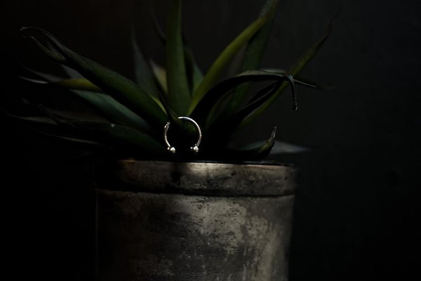 Пірсинг у Борисполі