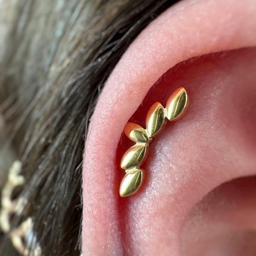 Модифікація тіла в Херсоні