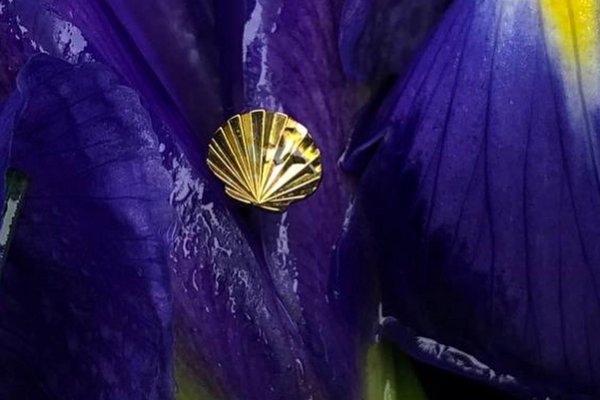 Пірсинг у Борисполі