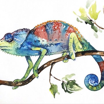 Тату эскизы игуаны