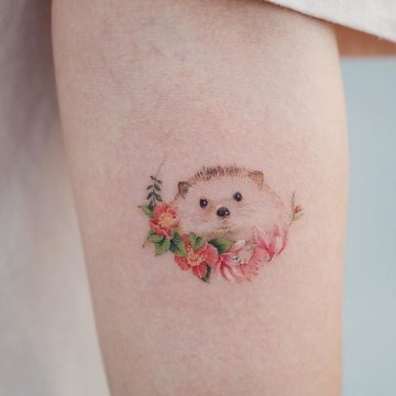 Тату ескізи їжак