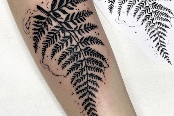Тату папороть