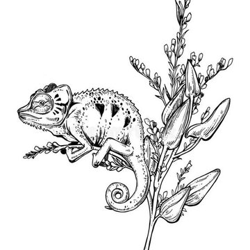 Тату-ескізи "Хамелеон"