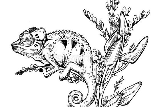 Тату-эскизы "хамелеон"