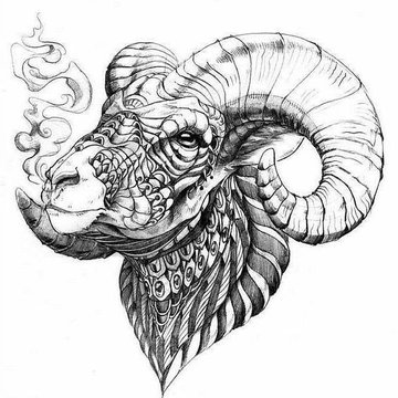 Тату ескізи баран