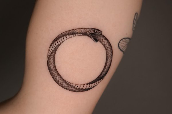 Уроборос Тату